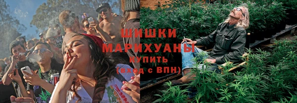 дурь Алексеевка